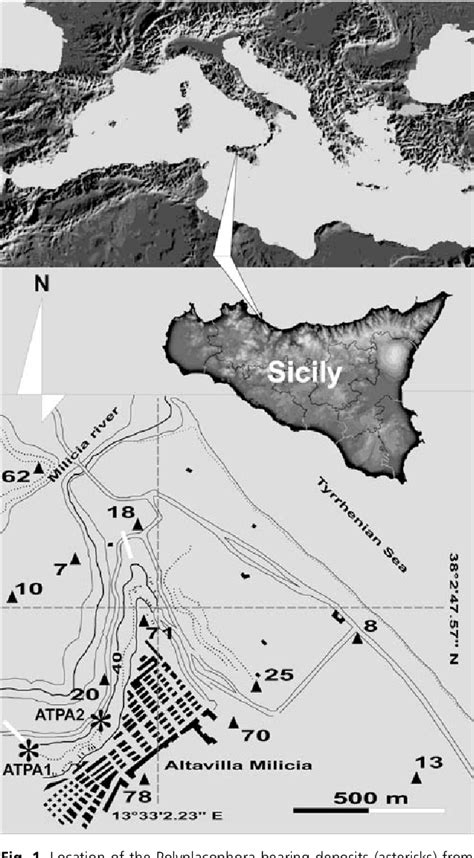 Figure 1 from Notes on fossil chitons. 4. Polyplacophora from the Pliocene of Altavilla (NW ...