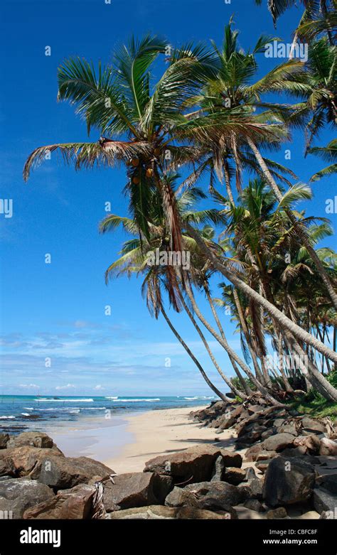 Indian Ocean Beach Ambalangoda Galle Sri Lanka Asia Stock Photo - Alamy