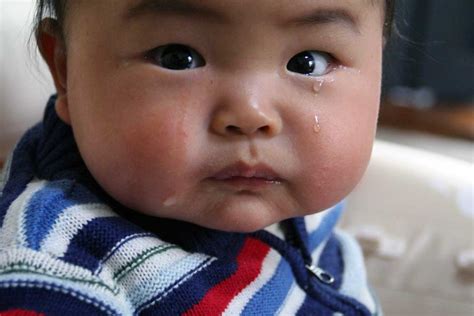 What happens to your brain when a baby cries? | University of Toronto