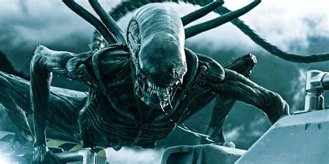 To This Day, No One Has Outdone the Xenomorph Design of the Alien Franchise