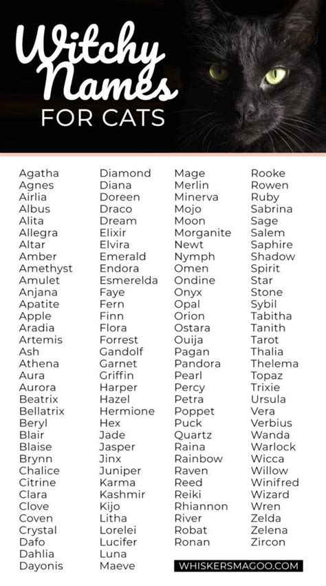 130+ Wiccan and Witchy Names for Cats - Whiskers Magoo | Witchy names ...