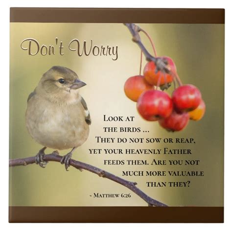 Matthew 6:26 Bible Verse, Don't Worry Ceramic Tile | Zazzle.com