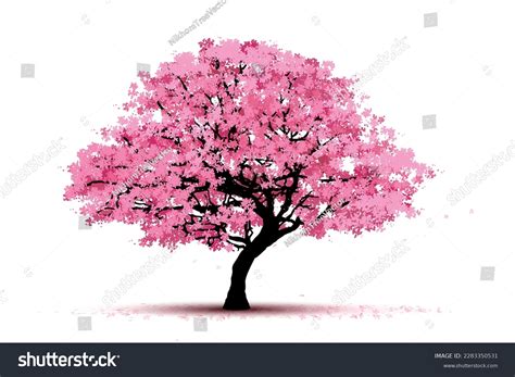 Cherry Blossom Tree Isolated On White Stock Vector (Royalty Free ...