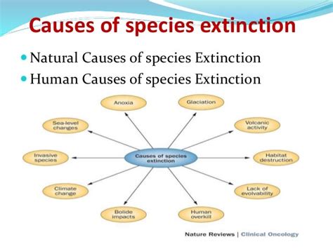 Specice extinction