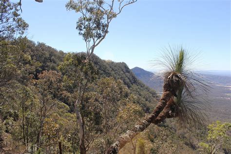 Scenic Rim Trail, Main Range National Park | Parks and forests | Department of Environment ...