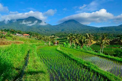 Tri Hita Karana: The Mystical Philosophy of Bali Rice Terraces - Historic Mysteries