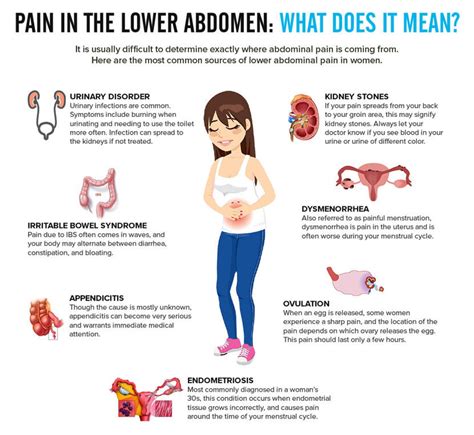 [DIAGRAM] Diagram Of Bloated Abdomen - MYDIAGRAM.ONLINE