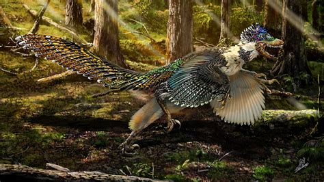 'Big Bird' dino: Researchers discover largest ever winged dinosaur | Science | AAAS