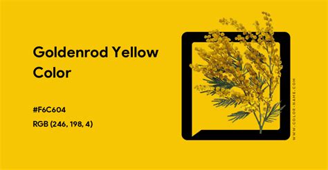 Goldenrod Yellow color hex code is #F6C604