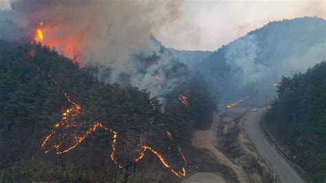 South Korea: Thousands flee their homes after wildfire engulfs city and threatens nuclear power ...