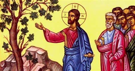 Mark 11:12-26 – The Withered Tree And The Cross | Fr. Charles Erlandson ...