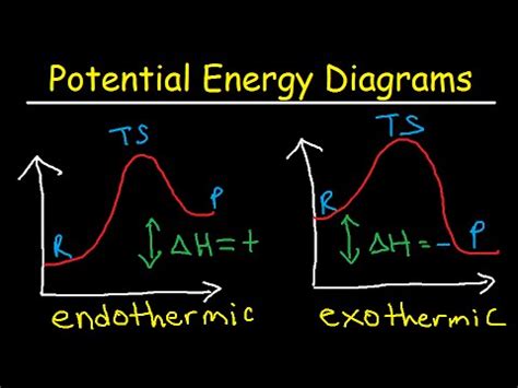 The Diagram Shows The Free Energy Change Of The Reaction - Wiring ...