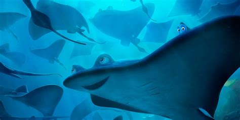 Ellen DeGeneres Describes 'Finding Dory's Transgender Stingray: “A Sting-Ronda” | Inverse