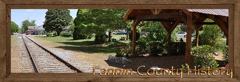 Fannin County Georgia History