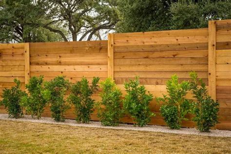 40 DIY Backyard Privacy Fence Design Ideas on A Budget