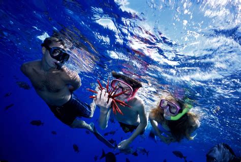 The 5 Best Maui Snorkeling Tours of 2022