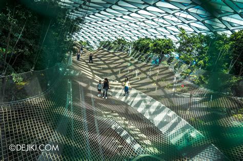 Canopy Park attractions at Jewel Changi Airport | Dejiki.com