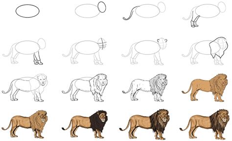 Lion Drawing Easy Step By Step