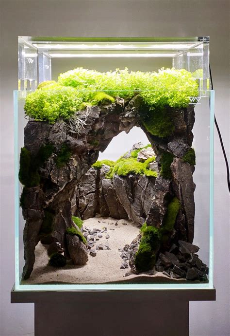 Cave aquarium inside 30x30x30cm | Aquarium garden, Aquarium landscape ...