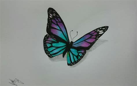 Pencil Drawing Of Butterfly at GetDrawings.com | Free for personal use Pencil Drawing Of ...