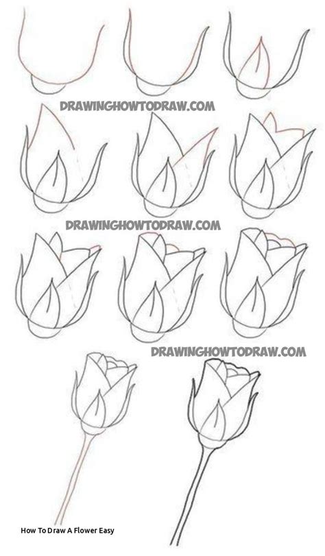 Rose Drawing Easy Step By Step at PaintingValley.com | Explore collection of Rose Drawing Easy ...