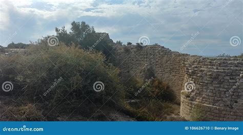 Ashdod beach stock photo. Image of landscape, plants - 106626710