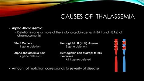 PPT - THALASSEMIA PowerPoint Presentation, free download - ID:5780465