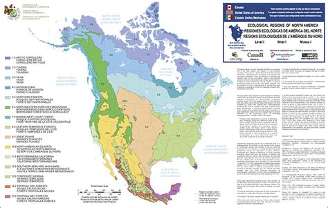 Ecoregions of North America | US EPA