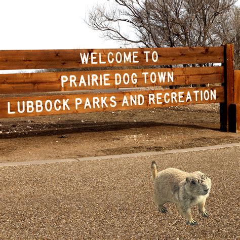 Prairie Dog Town Sign