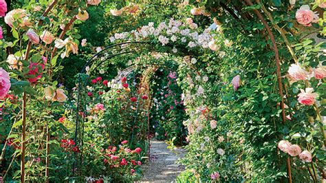 Create a Beautiful Rose Garden | Garden Gate