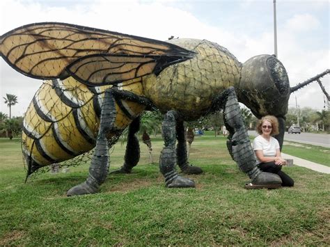 The World’s Largest Killer Bee Can be Found in This Texas Town