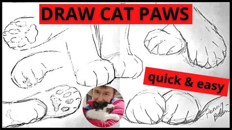 How to Draw Cat Paws Easy - quick pose gesture sketch for beginner kitty artist, simple practice ...