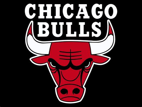 Chicago Bulls Basketball Roster - Molli Donielle