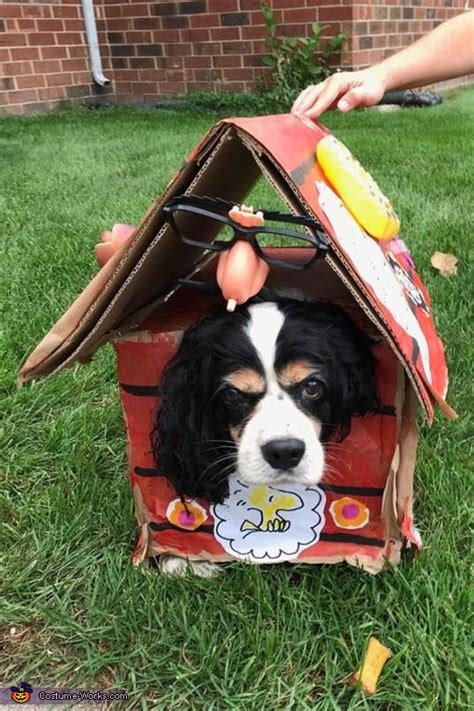 Snoopy Dog's Costume