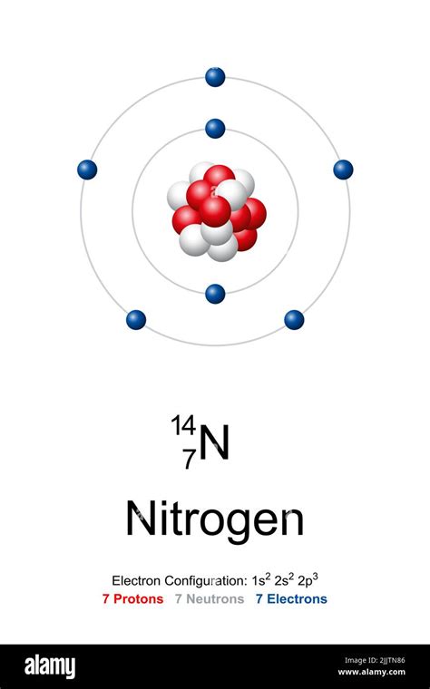 Nitrogen, atom model. Chemical element with symbol N and with atomic ...