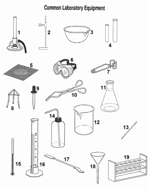 50 Chemistry Lab Equipment Worksheet