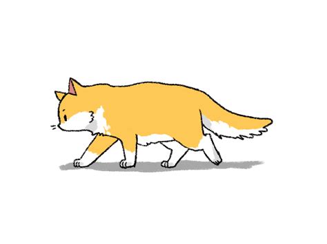 Animated Cat Walking Gif