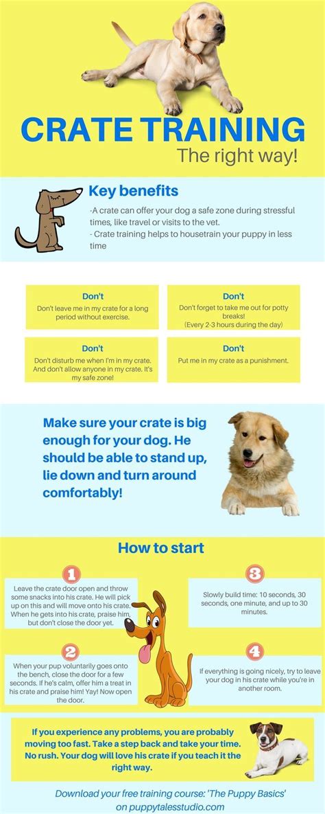 Dog Training 101: Crate training, the right way! Teach your dog to be in his… | Formation de ...