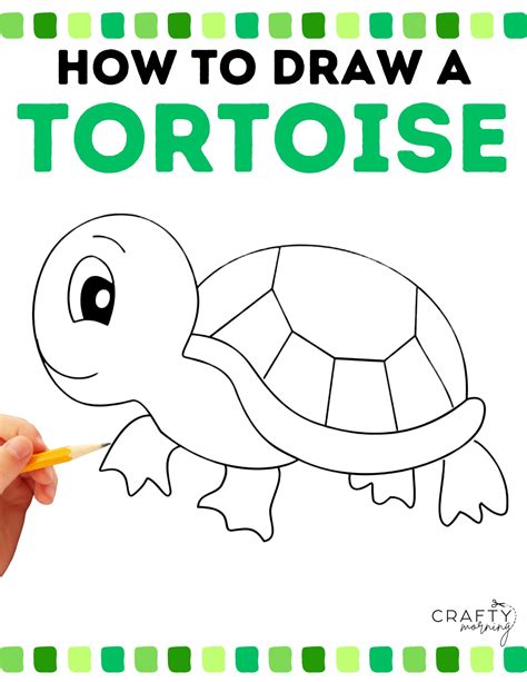 Drawing a Tortoise (Step by Step Tutorial) - Crafty Morning