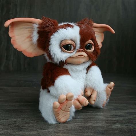 Gizmo Cute