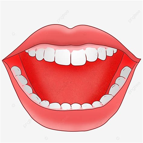 Mouth Teeth White Transparent, Cartoon Hand Drawn Open Mouth And White Teeth, Tongue Clipart ...