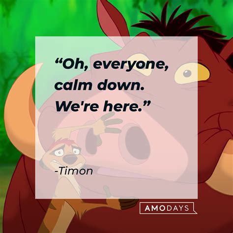 35 Timon Quotes on His Laidback Views Complete with Some Wisecracks