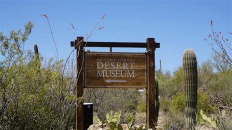 Arizona-Sonora Desert Museum - Tucson, AZ | Tucsonan