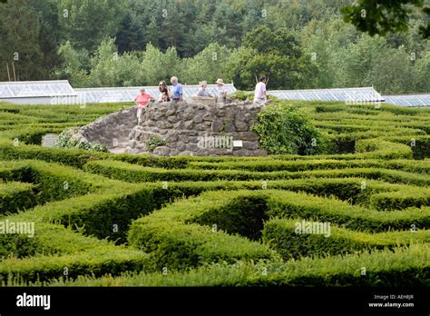 Maze at Leeds Castle Kent England UK Labyrinth Stock Photo - Alamy