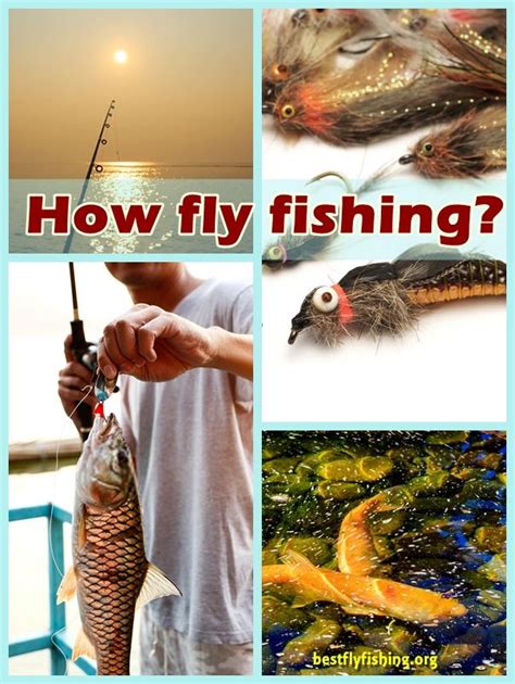 Fly Fishing Techniques. Methods for Improving Fly Fishing