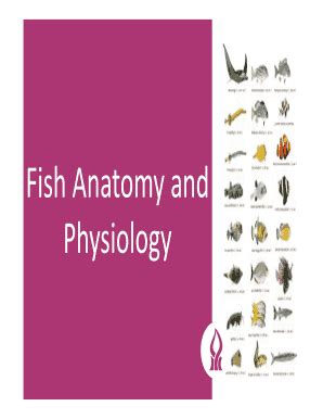 Fillable Online Fish Anatomy and Fax Email Print - pdfFiller