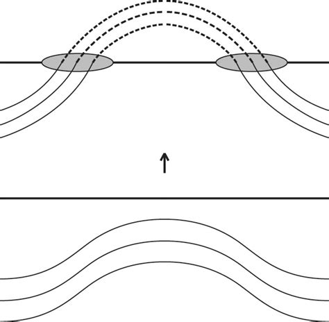 Schematic representation of the appearance of a pair of sunspots on an... | Download Scientific ...