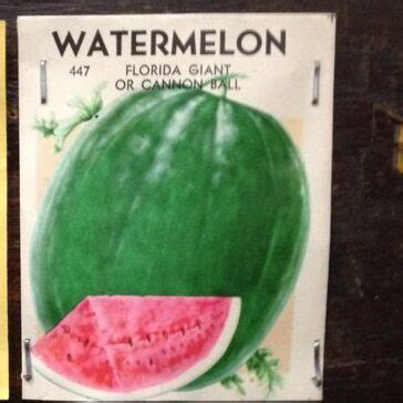 Florida Giant Watermelon – Stone Brothers