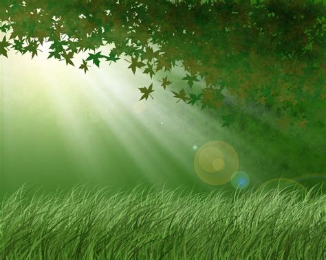 Green Forest Backgrounds - Wallpaper Cave