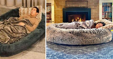 Giant Dog Bed for Humans - The Ultimate Napping Spot